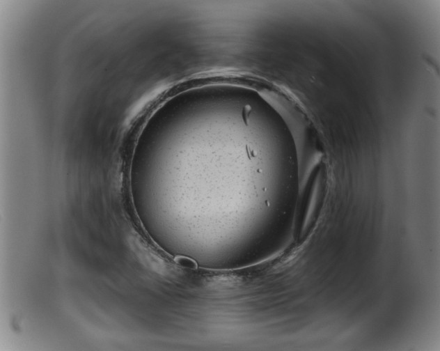 X0000099531406200805231051