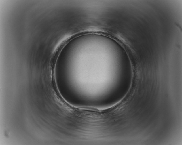 X0000099531408200805231051
