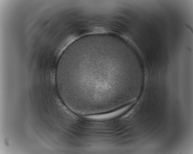 X0000099531409200805231051