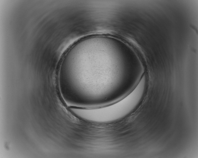 X0000099531412200805231051