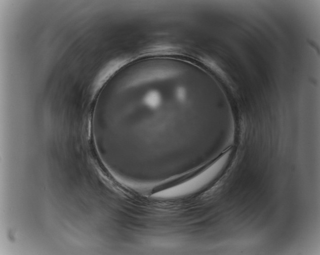 X0000099531413200805231051