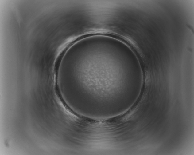 X0000099531414200805231051