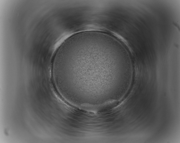 X0000099531415200805231051