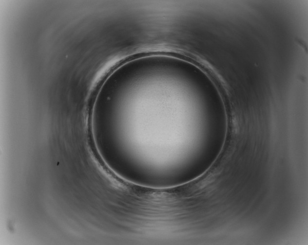 X0000099531416200805231051