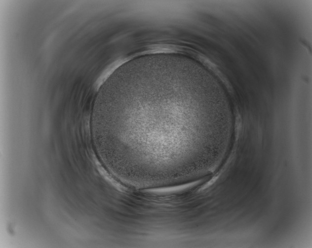 X0000099531417200805231051