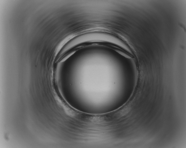 X0000099531418200805231051