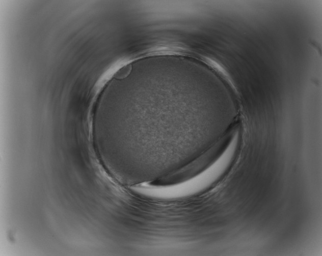 X0000099531419200805231051
