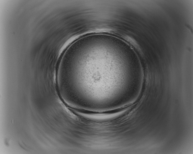 X0000099531420200805231051