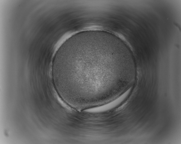 X0000099531421200805231051