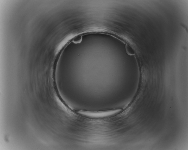 X0000099531422200805231051