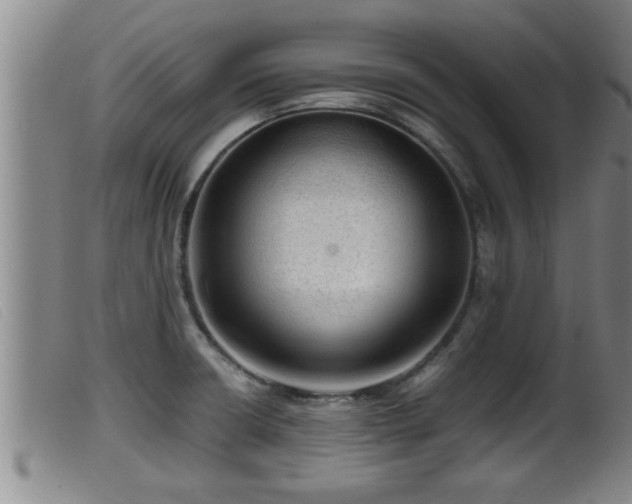 X0000099531426200805231051