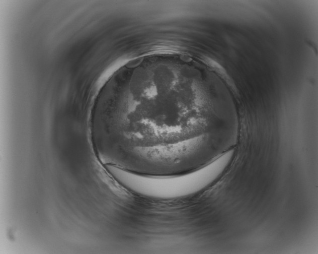 X0000099531427200805231051