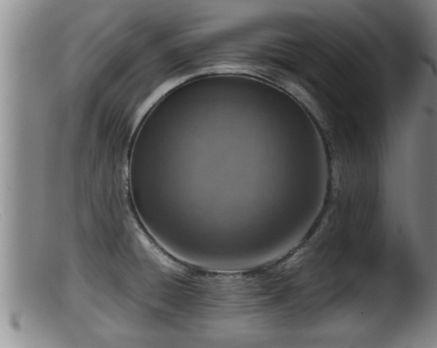 X0000099531428200805231051