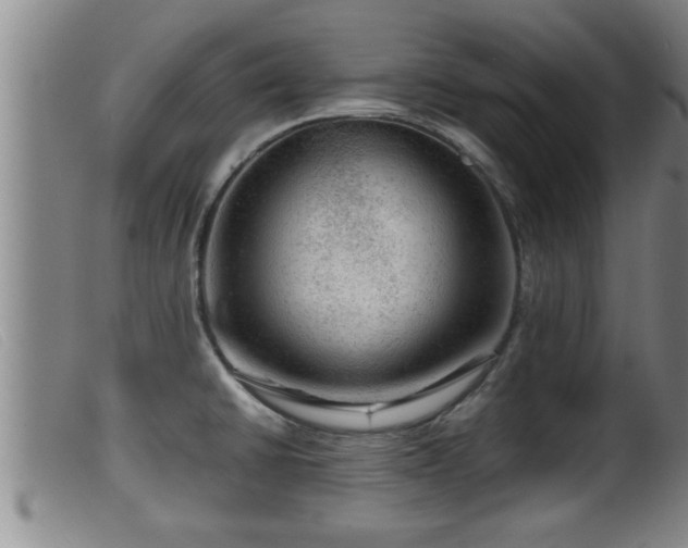 X0000099531430200805231051