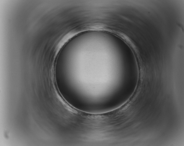 X0000099531432200805231051