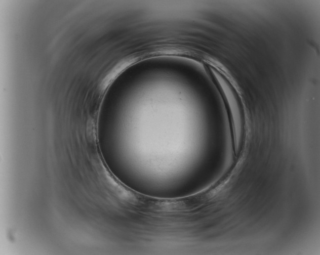 X0000099531433200805231051
