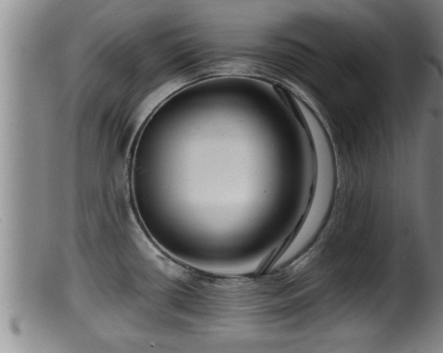 X0000099531434200805231051