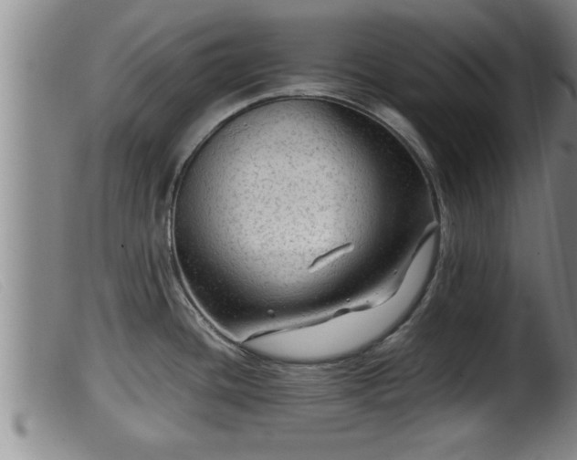 X0000099531436200805231051