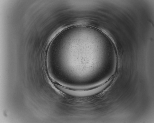 X0000099531437200805231051