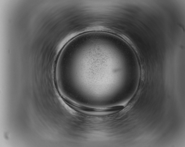 X0000099531438200805231051