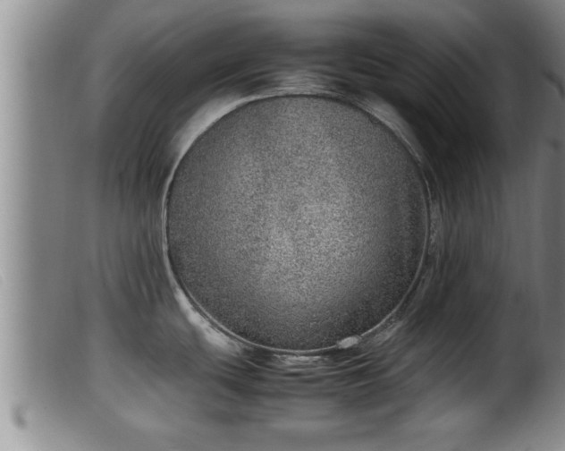 X0000099531439200805231051