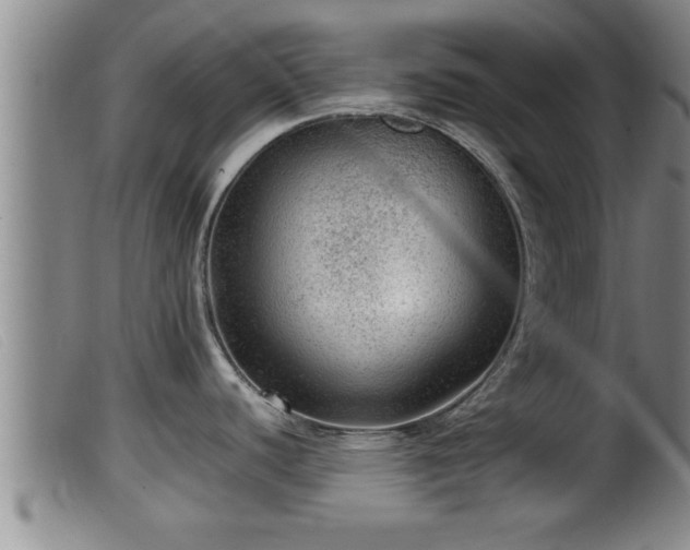 X0000099531440200805231051