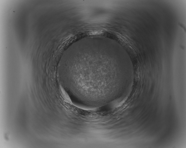 X0000099531441200805231051