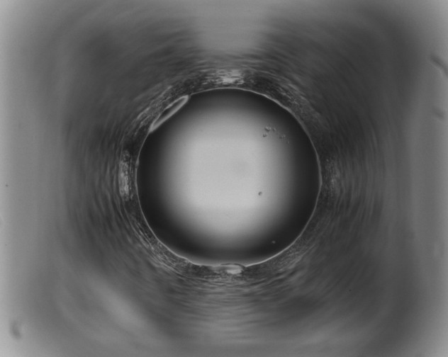 X0000099531442200805231051