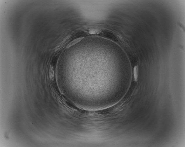 X0000099531443200805231051