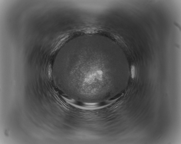 X0000099531444200805231051