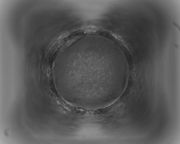X0000099531445200805231050