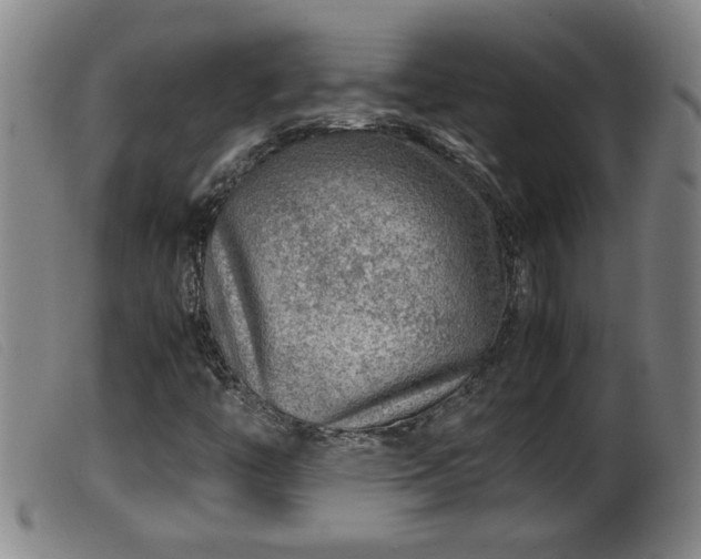 X0000099531446200805231050