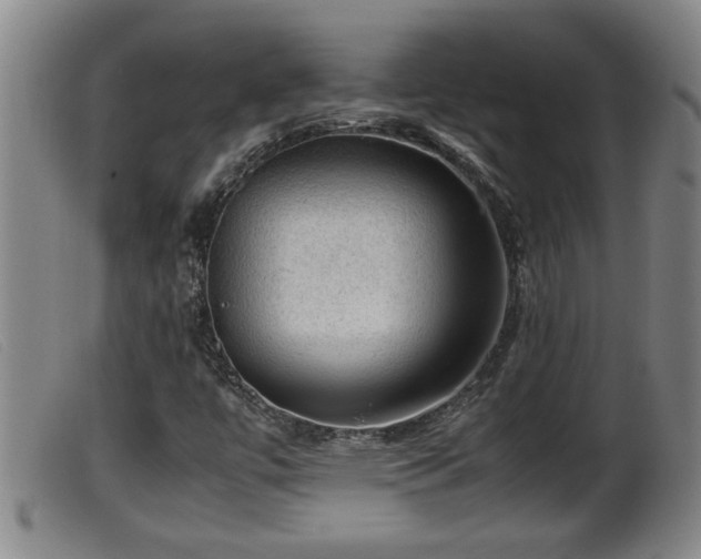 X0000099531447200805231050