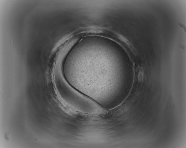 X0000099531448200805231050