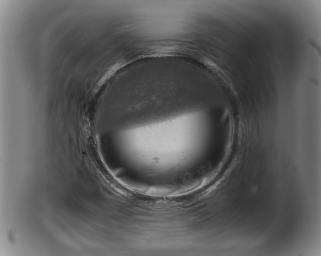 X0000099531449200805231050