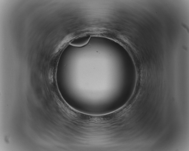 X0000099531451200805231050