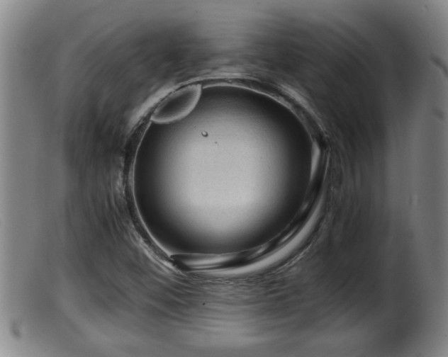 X0000099531452200805231050