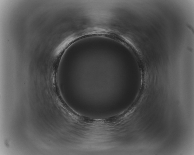 X0000099531455200805231050