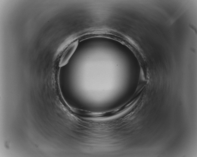 X0000099531456200805231050