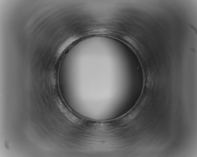 X0000099531458200805231050