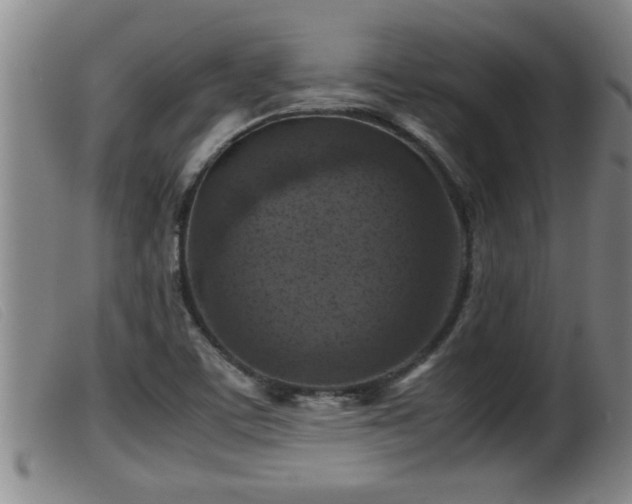 X0000099531459200805231050