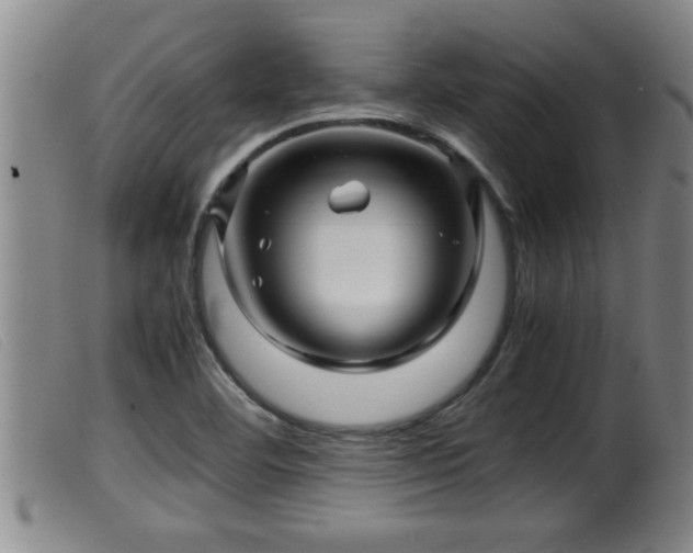 X0000099531460200805231050