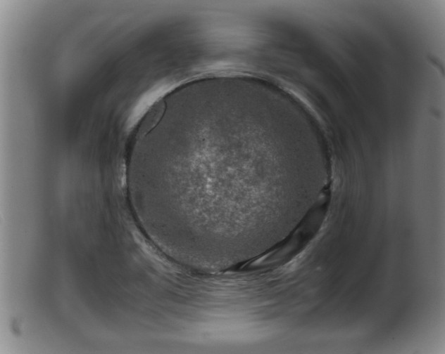 X0000099531461200805231050
