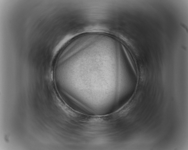 X0000099531462200805231050