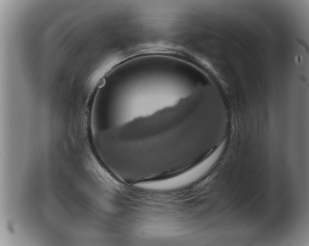 X0000099531463200805231050