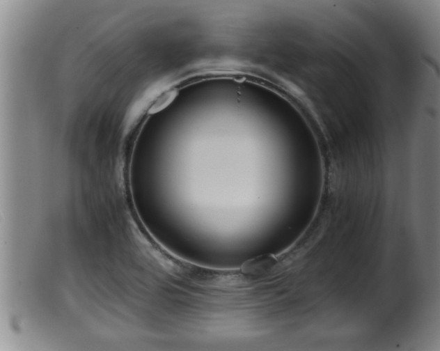 X0000099531464200805231050