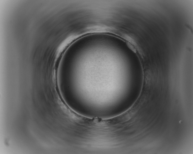 X0000099531472200805231050