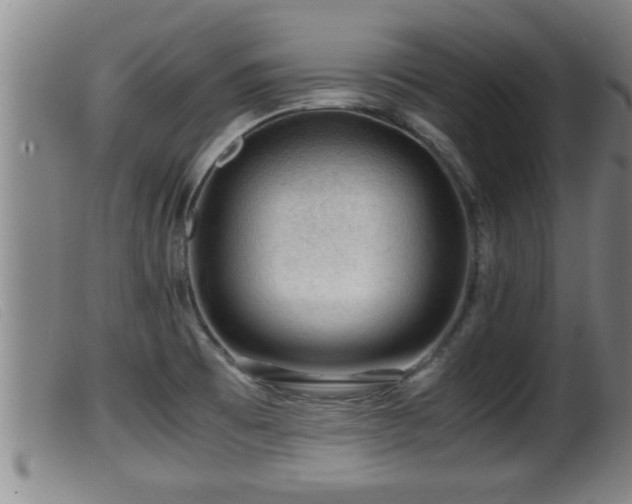 X0000099531473200805231050