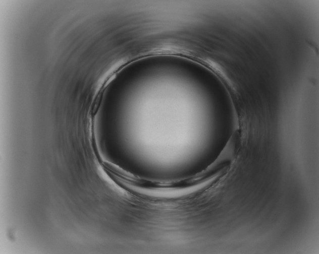 X0000099531476200805231050