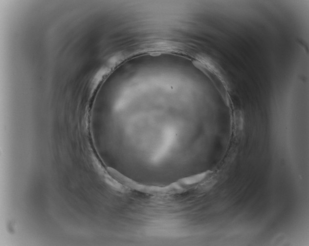 X0000099531477200805231050